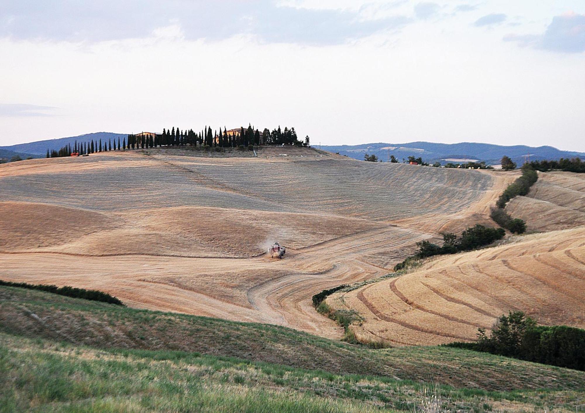 פיינצה Agriturismo Bonello מראה חיצוני תמונה
